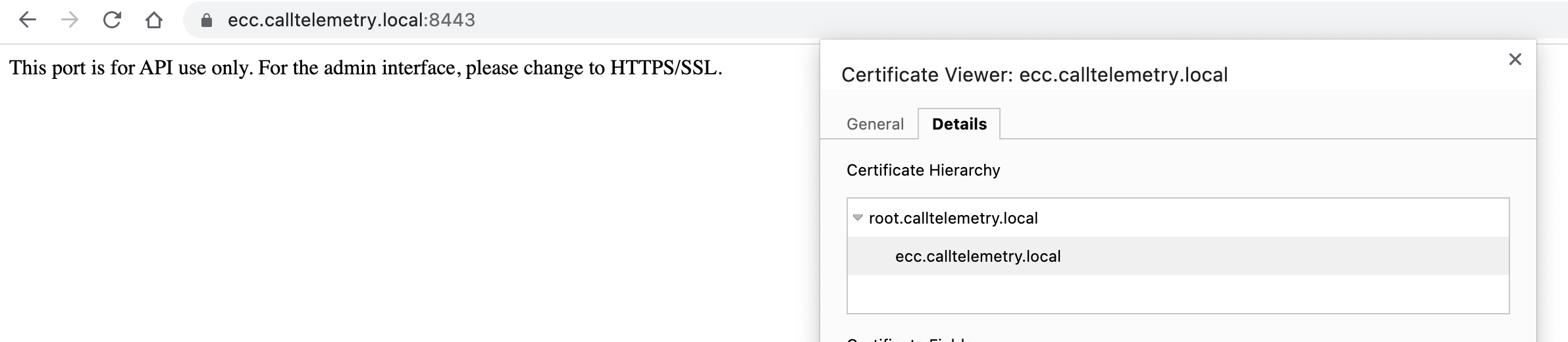 screenshot showing new certificate in a browser